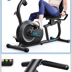 MARACH Recumbent Exercise Bike