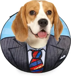 BEAUTYZOO Dog Cone Collar Alternative After Surgery, Pet Neck Donut E-Collar

Soft Cone for Dogs to Stop Licking, Adjustable Recovery Collar for Large