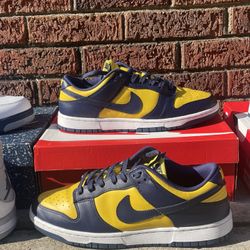 Nike Dunk Michigan