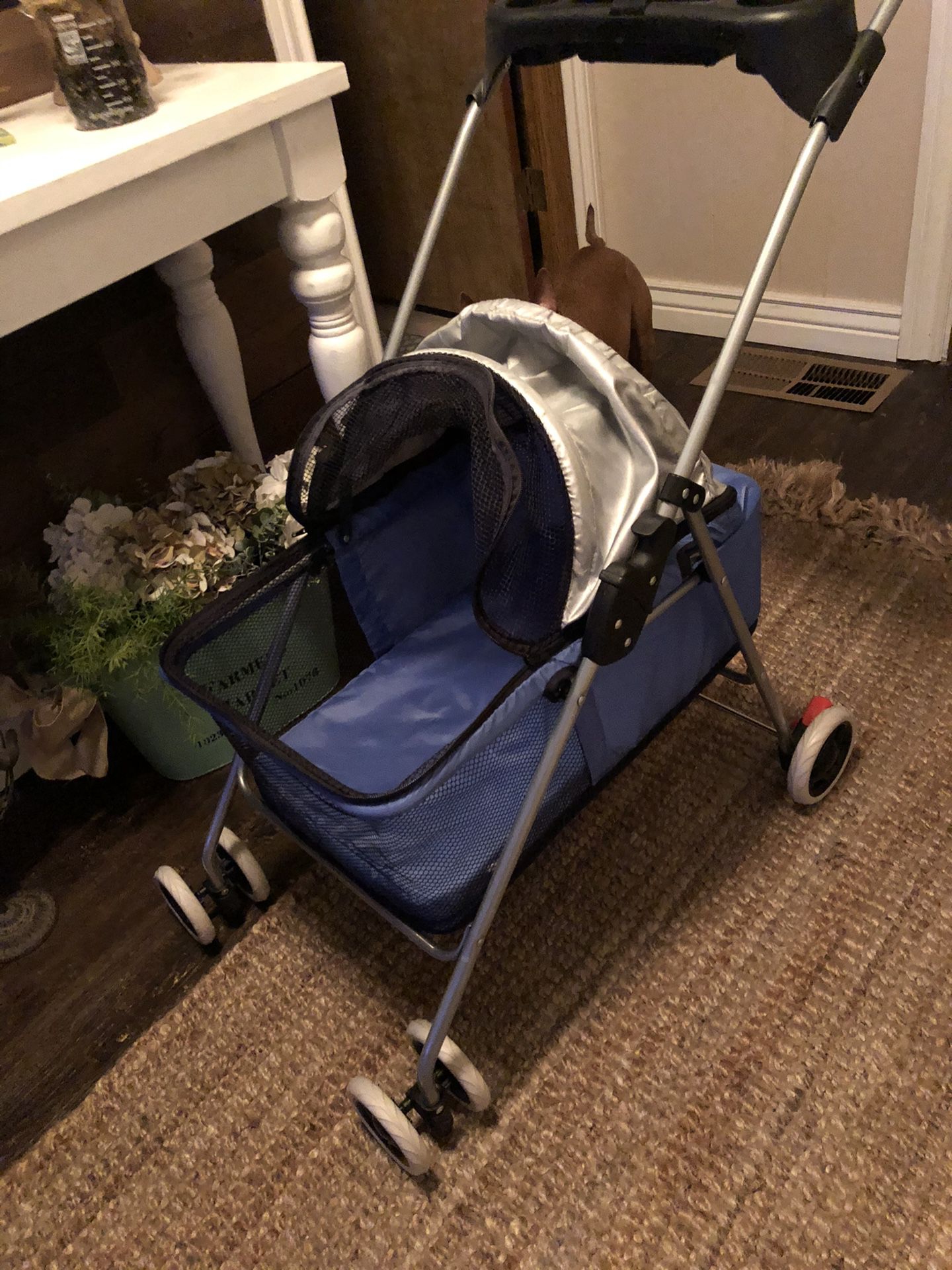 Brand new pet stroller, mesh zipper to keep in. Max weight 25 lb -30lb