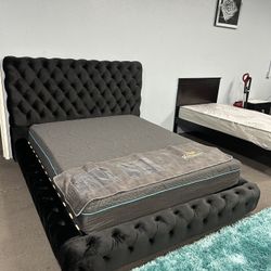 Black Velvet Queen Platform Bed