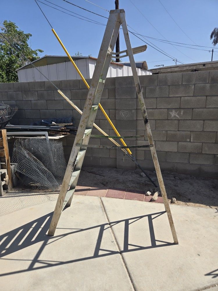 12 Foot Ladder