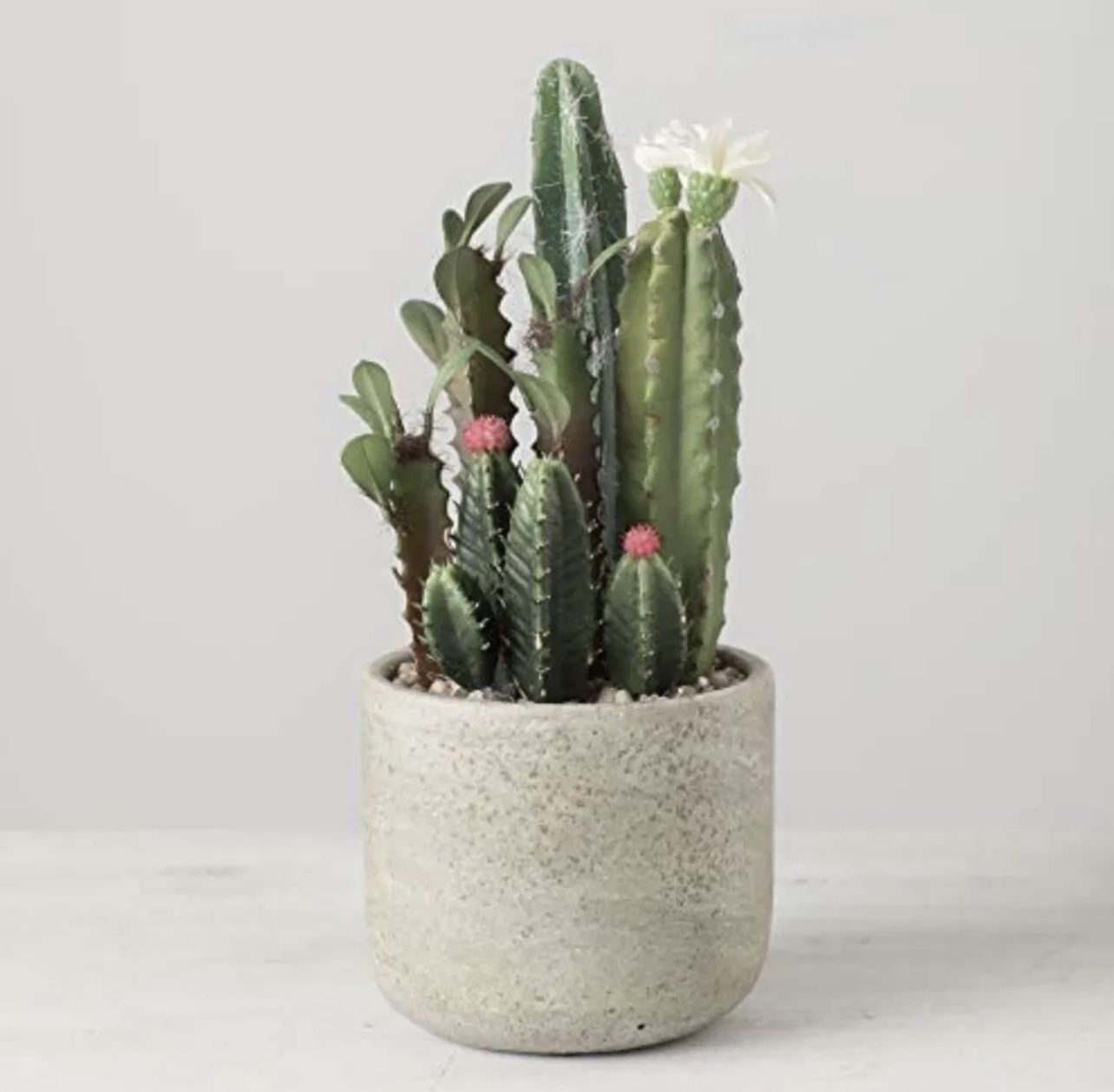 Sullivans Artificial Flowering Cactus Arrangement In Distressed Cement Pot 10.”