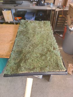 Indoor Grass mate Doggielawn