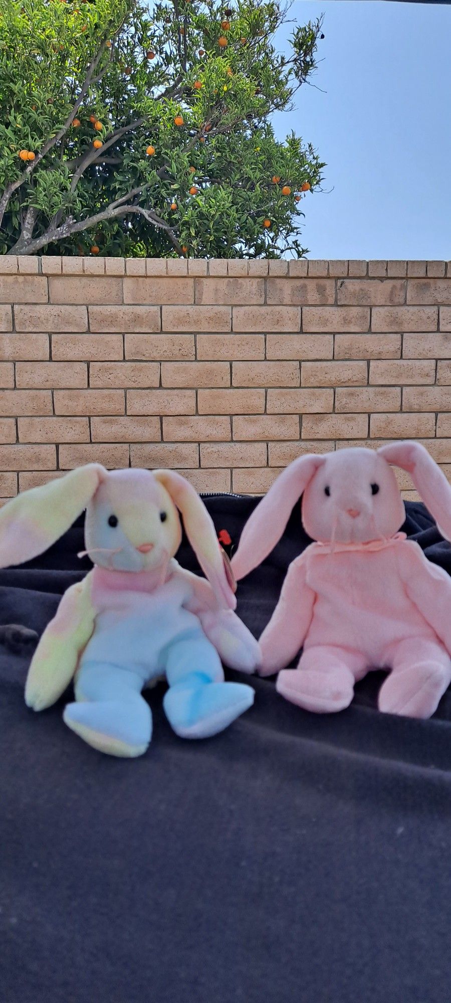 1998 Ty Beanie Babies Hippi And Hoppity