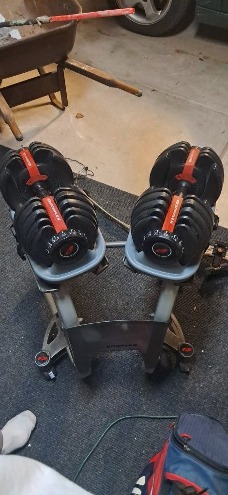 Bowflex Adjustable Weights 