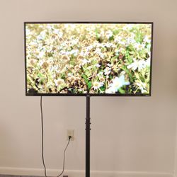 TCL 43” Tv With Stand