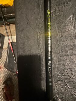 Coastal Glow-Tip Fishing Rod