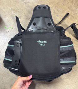 Aspen vista back brace