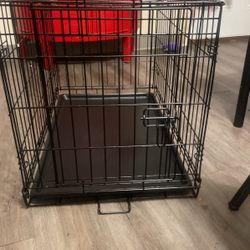 Medium Size Cage 
