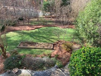 Fresh pine needles delivery and install