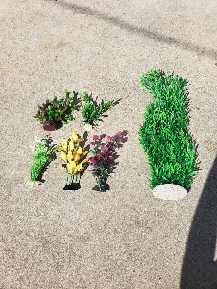 Fish Tank Aquarium Plants - All 6 For $10