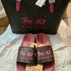 Coach Bag + slides