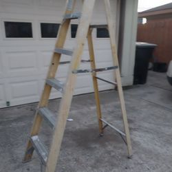 6 Ft Ladder