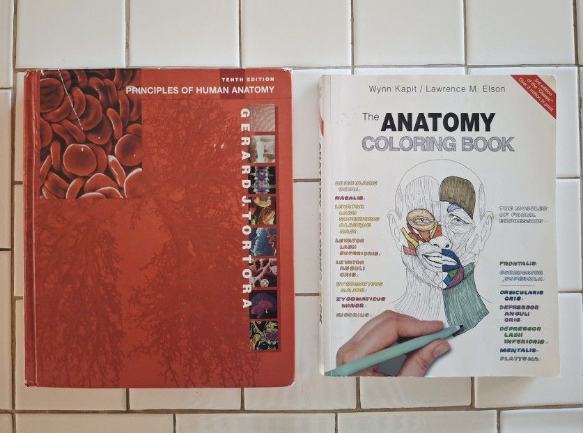 ANATOMY TEXTBOOK + COLORING BOOK SET