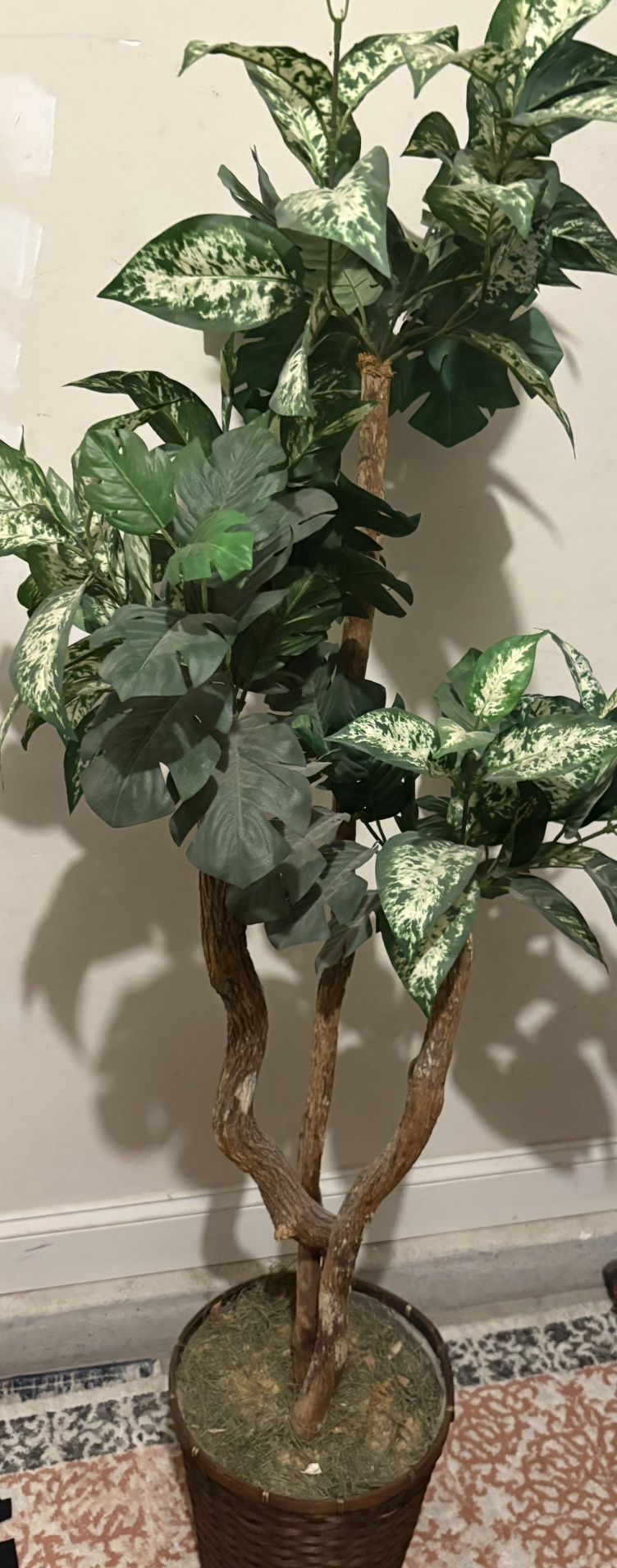 Fake Plant