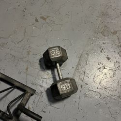 95 lb dumbell
