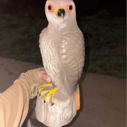 Hawk Decoy Bird B Gone