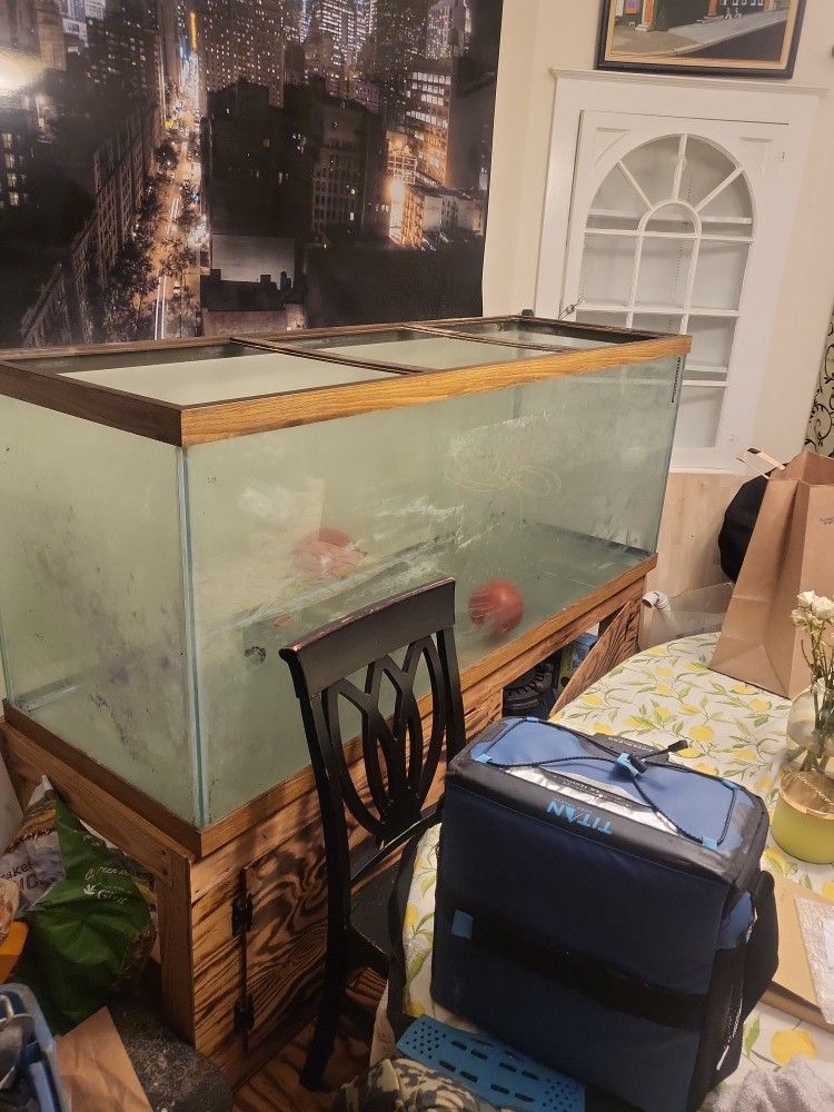 210 Gallon Fish Tank And Stand