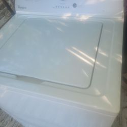 $160 Labadora 
