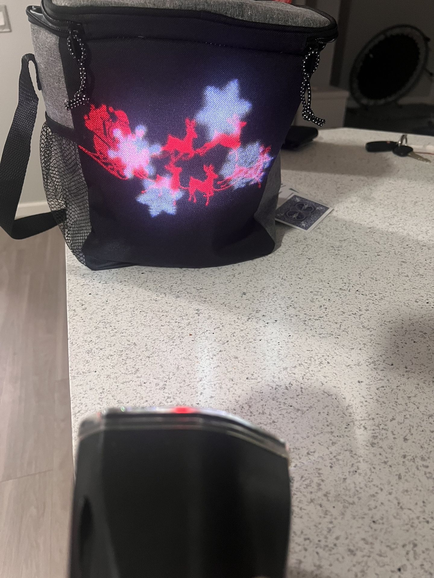 Christmas Light Projector 