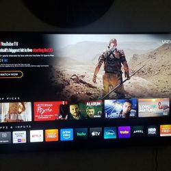 Vizo  TV 65" 