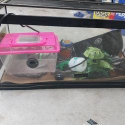 Reptile Aquarium 