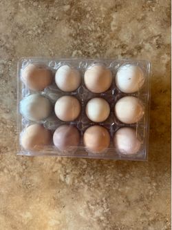 Fresh Eggs