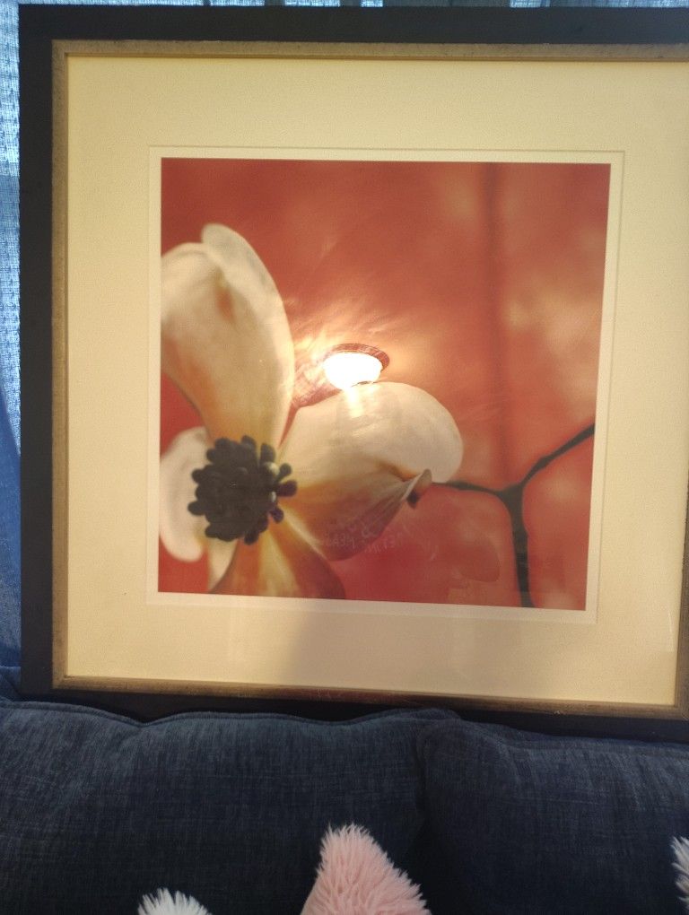 A BEAUTIFUL PIECE OF ART FLOWER PICTURE 