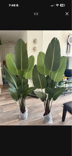 Pretty artificial plant 6 ft tall Set of 2 ! Brand New