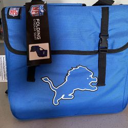 Detroit Lions 