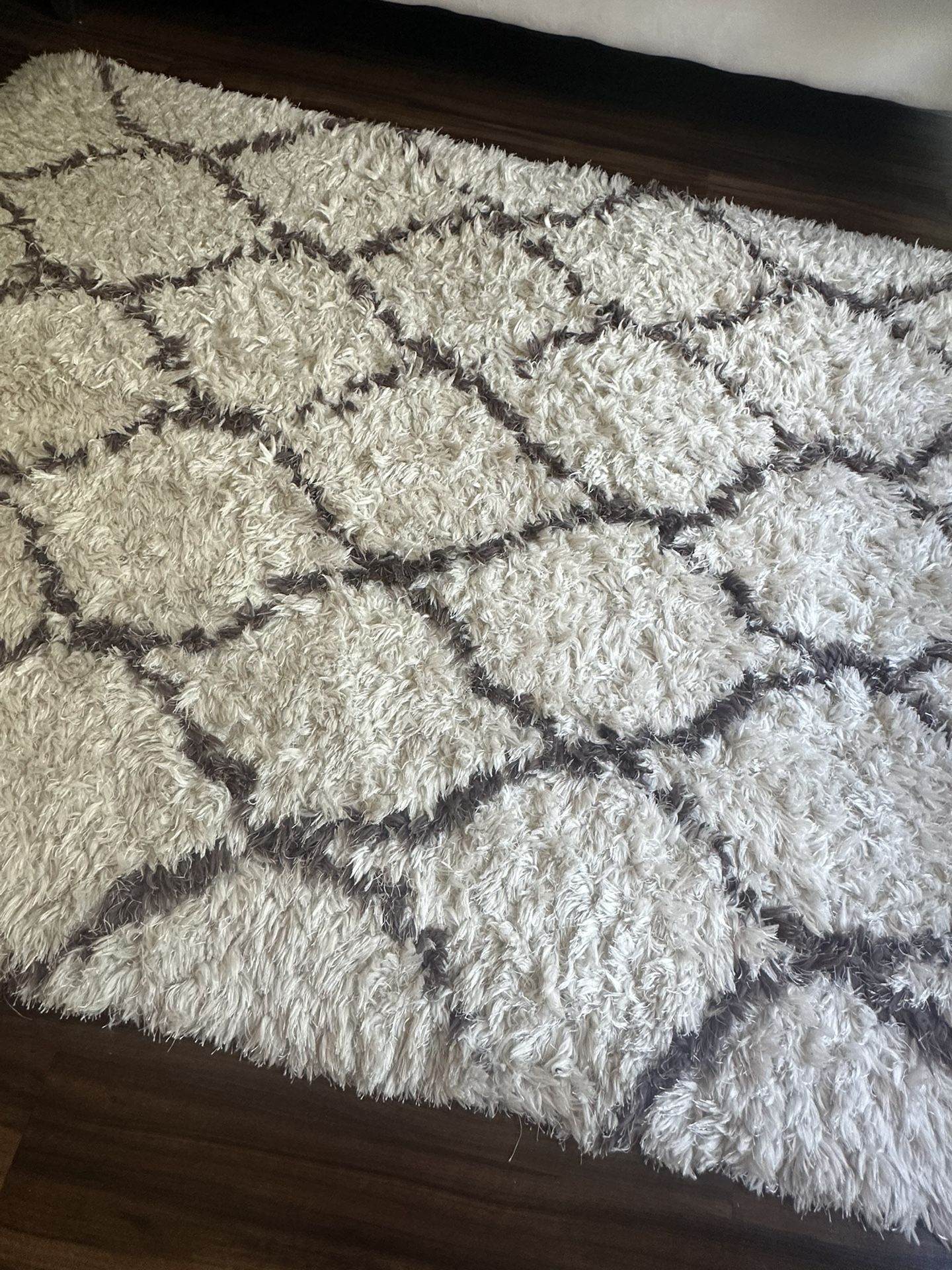 Carpet Rugs & Carpets