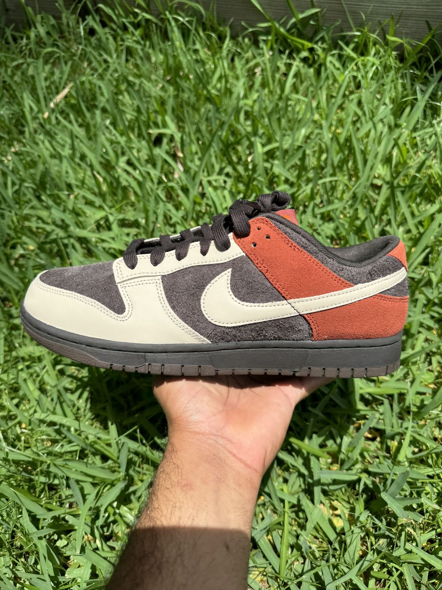 Red Panda Dunk Low’s sz11