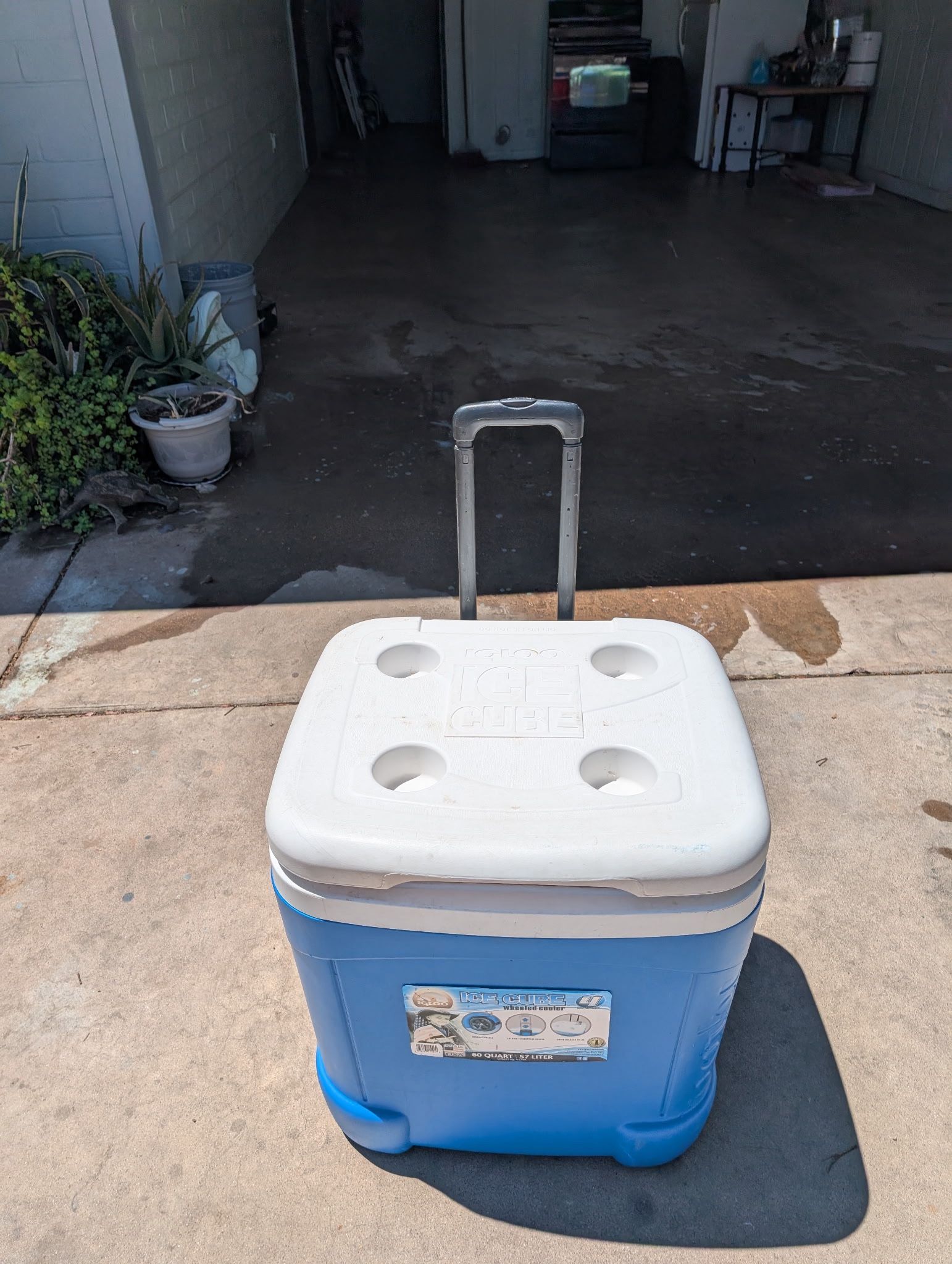 Coolers