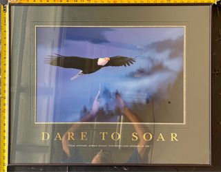 Successories - 24x30 frame - Dare to Soar