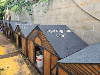 Large dog house