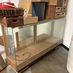 Vintage Display Case/shelf