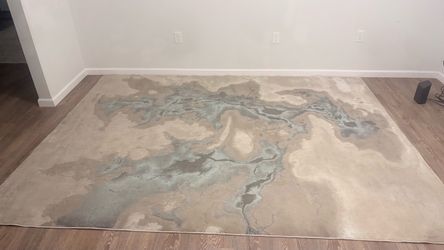 Large area rug/carpet