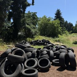 Free Tire