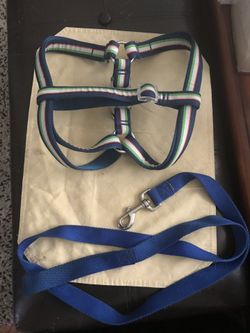 S/m dog harness and leash