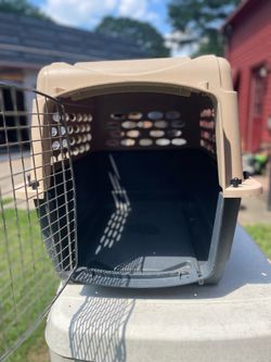 Kennel