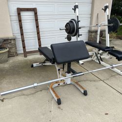 Preacher Curl Bench