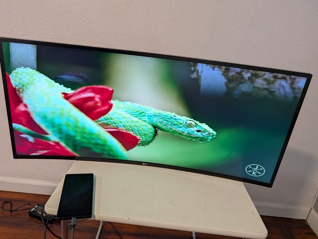 LG UltraGear 34 inch IPS Gaming Monitor 34GN840