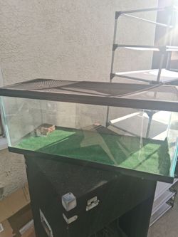 Terrarium  30x13x12