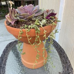 Large Succulent Planter