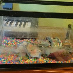 Aquarium + Various Equipment 