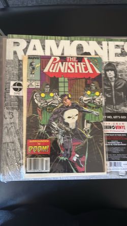 The Punisher 28