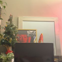 Insignia 24in FIRE TV