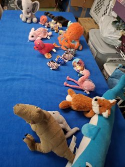 Stuffed Animals, Including 10 TY Babies,  22 Pieces In All.
