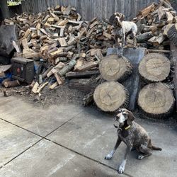 High-quality, clean, and split oak firewood 